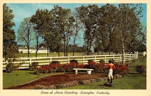 Scene at Horse Cemetery Blue Grass Country Lexington Kentucky  