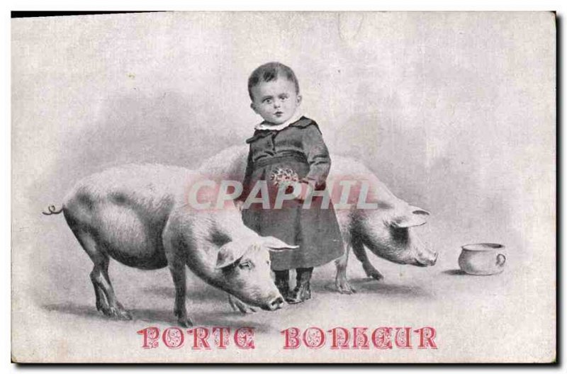 Old Postcard Cochon Pig Child