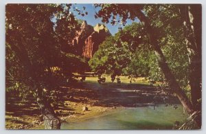 State View~Virgin River @ Zion Park Utah~Vintage Postcard