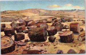 postcard - Arizona - Petrified Logs in Petrified National Forest - 1940s