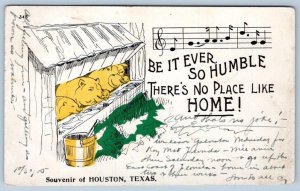 1905 SOUVENIR of HOUSTON TEXAS SINGING PIGS THERE'S NO PLACE LIKE HOME! POSTCARD