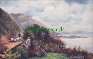 Wales Postcard - Aberdovey / Aberdyfi, Artist View of Sheep in North Wales DC666