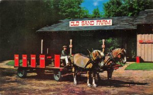 FREEPORT, Maine~ME  OLD SAND FARM Amusement Center BOY~HORSE DRAWN RIDE Roadside