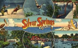 Silver Springs, Florida, FL, Silver Springs FL 1951
