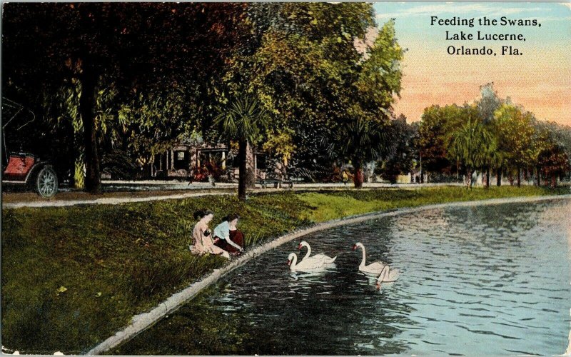 Feeding Swans Lake Lucerne Orlando Florida Swan Postcard Divided Back Unused UNP 