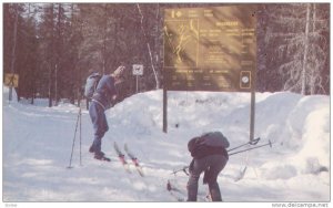 Cross country skiing in La Mauricie National Park, Quebec, Canada, 40-60s