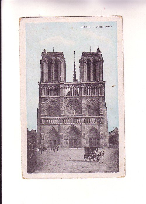 White Horse Pulling Cart Outside Notre Dame, Paris, France