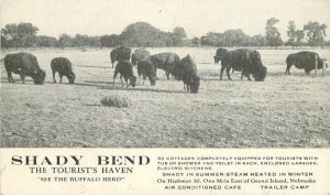 1950s Nebraska Grand Island Shady Bend Hotel animals undivided Postcard 22-11615