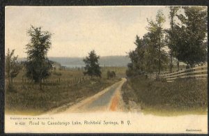 ROAD TO CANADARAGO LAKE RICHFIELD SPRINGS NEW YORK HAND COLORED POSTCARD