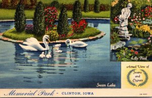 Iowa Clinton Memorial Park With View Of Swans and Cygnets Curteich