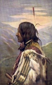 Chief Not Afraid of Pawnee Tucks Indian Indians, Unused light yellowing on ...