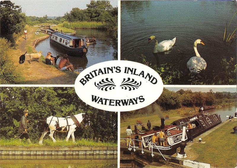 uk5808 britains inland waterways horses swan uk