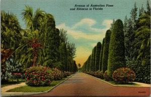 Vtg 1930s Avenue of Australian Pines and Hibiscus in Florida FL Unused Postcard