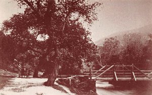 Shenandoah Street, wooden bridge - Harpers Ferry, West Virginia WV  