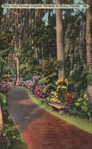 Vintage Postcard 1952 Main Trail Entrance Path Cypress Gardens To Sunny Florida