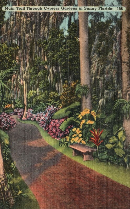 Vintage Postcard 1952 Main Trail Entrance Path Cypress Gardens To Sunny Florida