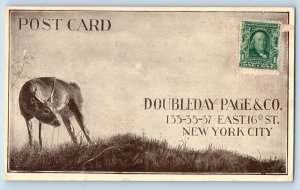 New York City NY Postcard Deer Doubleday Page & Company Advertising Unposted