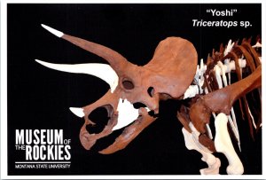 Yoshi Triceratops sp. Museum of Rockies Bozeman Montana POSTCARD