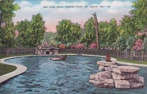 Sea Lion Pool Forest Park Saint Louis Missouri