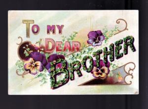 1909 To My Dear Brother Picture Postcard!