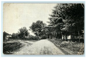 c1914 Pine Grove And M.E Church Pocono Pines Pennsylvania PA Postcard 