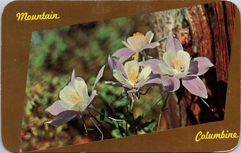 Mountain Columbine Dainty Flower Mountain Glade 1968 Pm Wob Note Postcard 