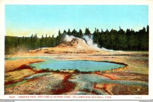 Yellowstone National Park Crested Pool and Castle Geyser Cone Haynes Photo