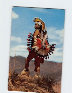 Postcard Colorful American Indian