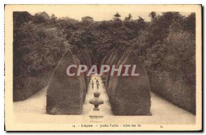 Old Postcard Lucon Public Garden Allee des Ifs