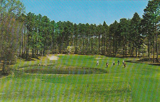 The Cathedral 15th Hole No 4 Golf Course Pinehurst North Carolina