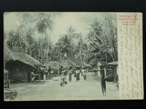 Ceylon Sri Lanka STREET SCENE c1903 UB Postcard by A.W.A. Plate & Co.