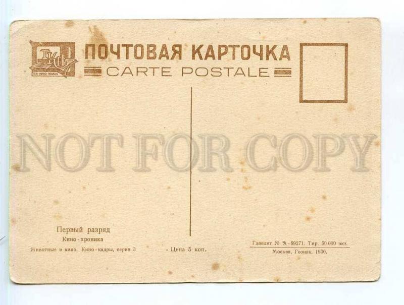 250295 USSR monkey w/ typewriter 1930 year postcard