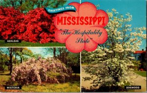 Greetings from Mississippi, Azalea, Wisteria, Dogwood Vintage Postcard G77