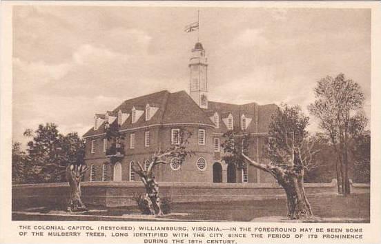Virginia Williamsburg The Colonial Capitol Albertype