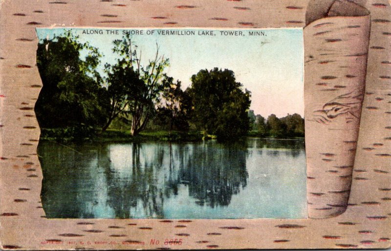 Minnesota Power View Along The Shore Of Vermillion Lake 1909 Birch Border