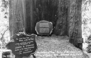 RPPC Cathedral Tree Trees of Mystery Park Redwood Highway 1940s Vintage Postcard