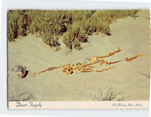 Postcard Desert Tragedy, Nevada