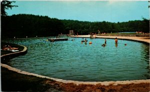 Postcard TN Maynardville Big Ridge State Park Swimming Area Children 1960s K64