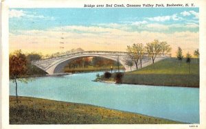 Bridge over Red Creek Rochester, New York