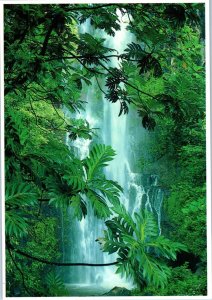 Waterfall at Kipahulu in Maui's lush rain forest Hawaii Postcard