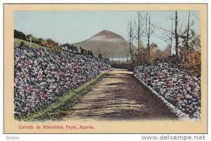 Estrada Da Ribeirinha, Fayal, Acores, Portugal, 1910-1920s