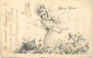 B581 Beauty lady and luck pigs New Year fantasy greetings postcard Hungary 1900s