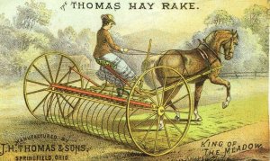 The Thomas Hay Rake J. H. Thomas & Sons Farm Scene Lady Horse Field P111