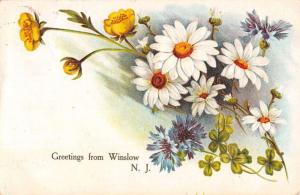 Winslow New Jersey Flowers Greeting Antique Postcard K34648 