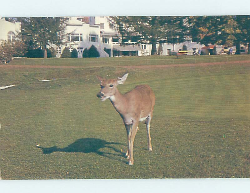 Pre-1980 SHAWNEE INN Shawnee On Delaware by East Stroudsburg Water Gap PA AE0380