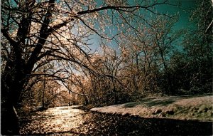 Kentucky, Louisville - Winter Time In Cherokee Park - [KY-067]