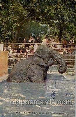 Lincoln park Chicago Illinois, USA Elephant 1912 very light wear, light posta...