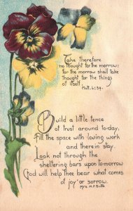 Postcard 1910's Take Therefore No Thought For Tomorrow! Psalm Matt Pansy Flowers