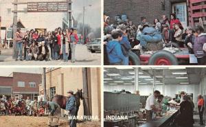 WAKARUSA, IN Indiana  MAPLE SYRUP FESTIVAL  Roadside  ELKHART CO Chrome Postcard