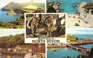 uk9548 beauty spots of north devon uk